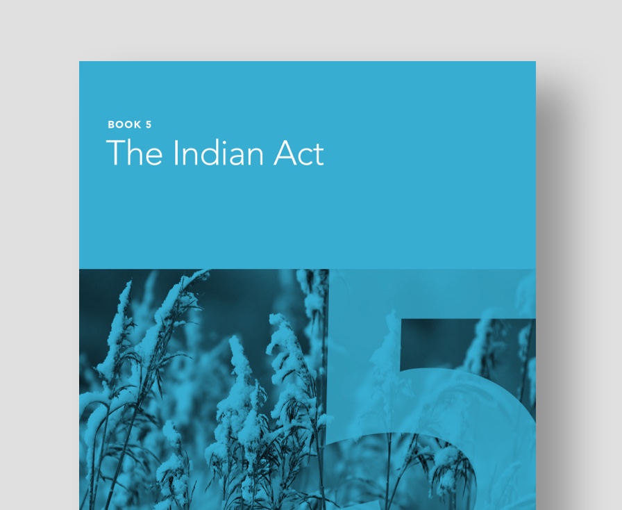 pechakucha-presentation-the-indian-act