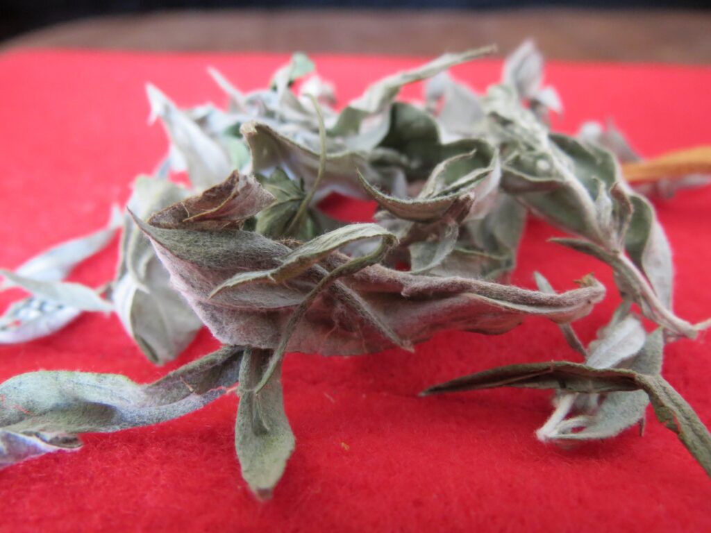 There are many medicines used by First Nations across Canada.​ One of them is sage.