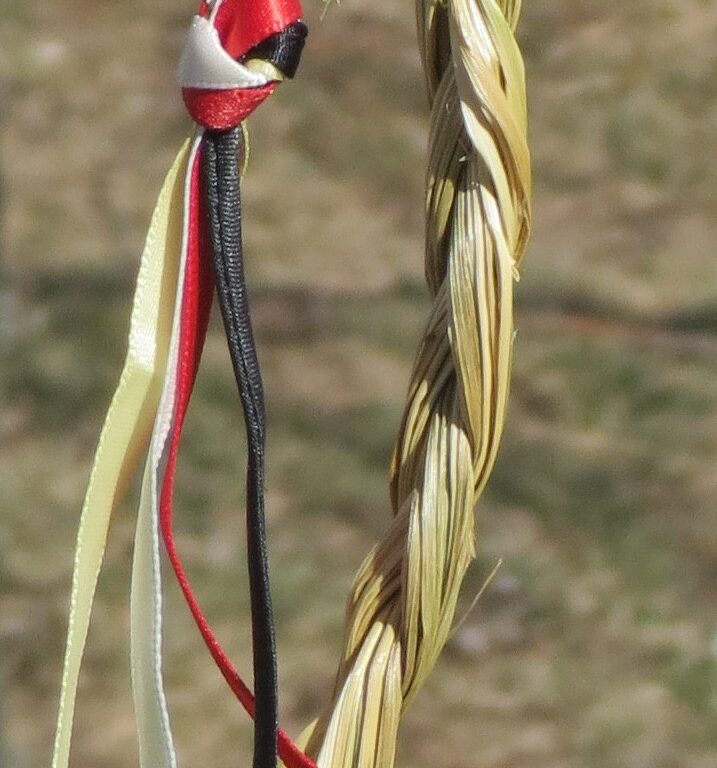 There are many medicines used by First Nations across Canada.​ One of them is sweetgrass.